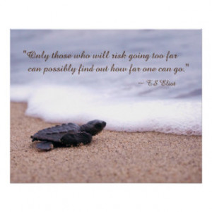 Inspiring Quote Baby Sea Turtle Sand Ocean Print