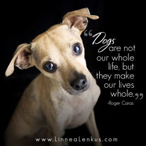 http://quotespictures.com/dogs-are-not-our-whole-lifebut-they-make-our ...