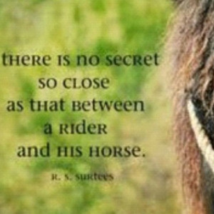 equestrian quotes | horse quotes
