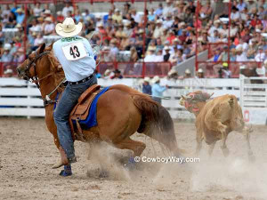 team roping quotes