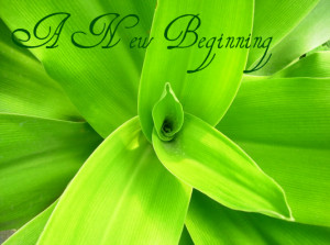 New year and new beginnings: or does moving out of the comfort zone ...