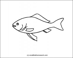 fish outline template