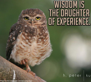 Wisdom-is-the-daughter-of-experience