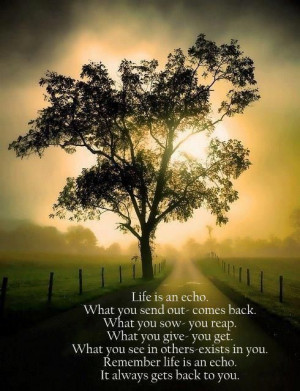 Life is a echo...