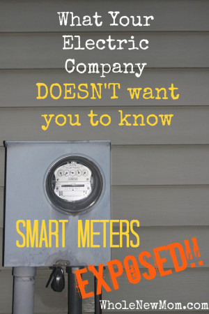 Heard about Smart Meters and how great they are supposed to be? Think ...