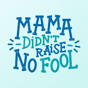Mama Didn't Raise No Fool by Josh LaFayette