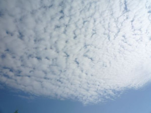 cotton clouds