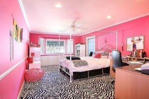 bedrooms lamps dreams bedrooms pink zebras bedrooms design dreams ...