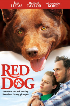 Red Dog Poster Artwork – Josh Lucas, Rachael Taylor, Noah Taylor
