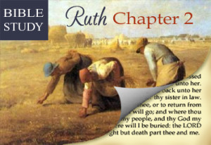 Bible Study – Ruth Chapter 2 & a Link Up!!