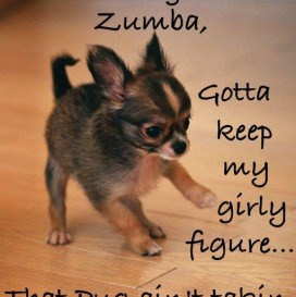 funny-quotes-about-zumba-4-272x273.jpg