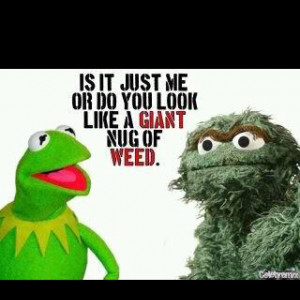 Love Kermit