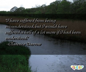 have suffered from being misunderstood , but I would have suffered a ...