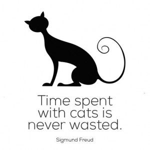 Cat Quotes - We Love Cats and Kittens