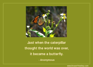 Inspirational Quotes about Butterfly