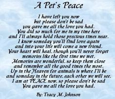 short poem from our pets that have preceded us.