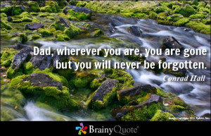 Displaying (19) Gallery Images For I Miss You Dad Quotes From Son...