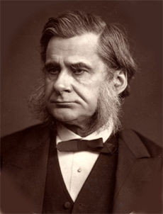 Huxley en una impresa de Lock & Whitfield, Londres 1880 o antes.