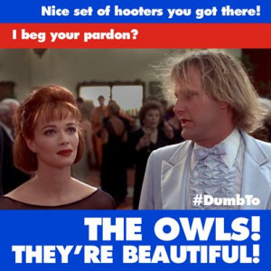 Nice set of hooters you got there! The owls! They're beautiful!