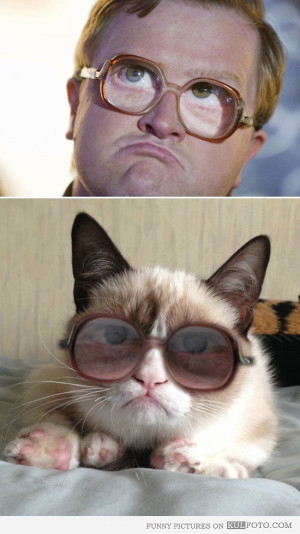 Look alike: Bubbles Grumpy cat – Funny grumpy cat wearing glasses ...