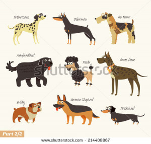 Dog breeds. Dalmatians, Bulldog, Newfoundland, Doberman, Great Dane ...