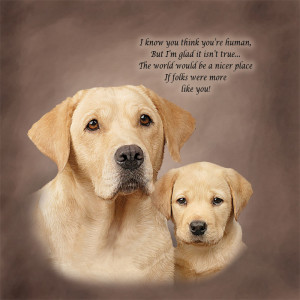 Golden Retriever Photos With Quotes