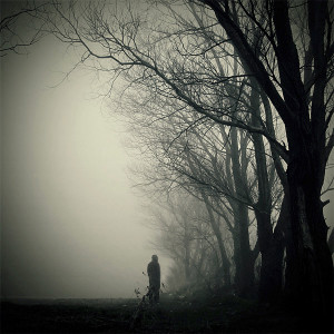 Email This BlogThis! Share to Twitter Share to Facebook Share to ...