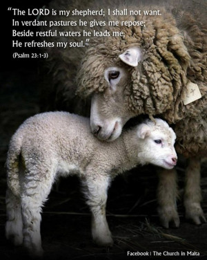 The LORD is my shepherd; I shall not want. In verdant pastures he ...