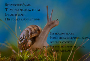 OC} The Snail motivational inspirational love life quotes sayings ...