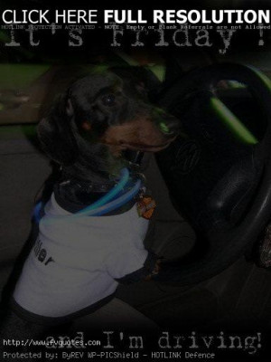 Friday Im In Love Hd Desktop Wallpaper Widescreen High Definition ...