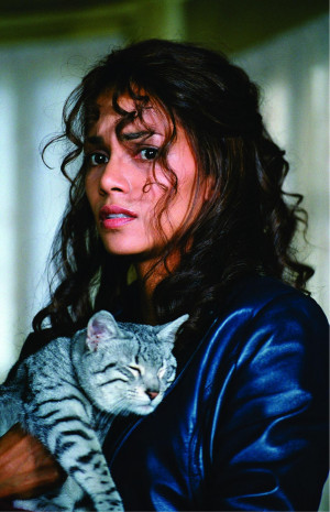 Related Pictures halle berry catwoman costume for sale