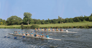 CSP Beginners' Rowing Race