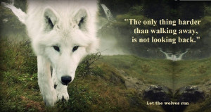 The Beauty of wolves Love. Lost.