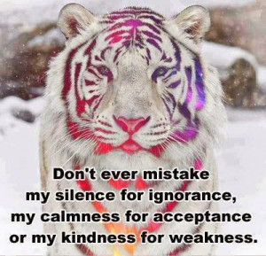 Don't ever mistake my silence for ignorance, my calmness for ...