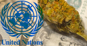 ... | alternative news - Latin American Leaders Push Drug Reform at UN
