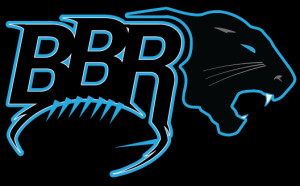 Carolina Panthers News and Coverage for the Digital Age