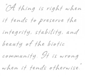 Aldo Leopold's quote #8