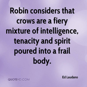 Robin considers that crows are a fiery mixture of intelligence ...