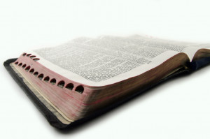 Nogle bibler har hjælp til opslag. De små indhak gør det nemt ...