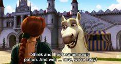 Bet you said that in Donkey's voice -- Shrek 2 More
