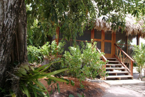 turtle inn garden view cottages home destinations belize turtle inn ...