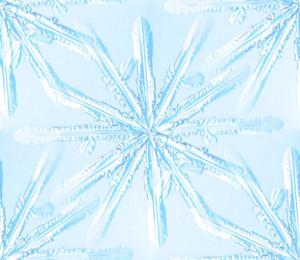 Light Blue Snowflake