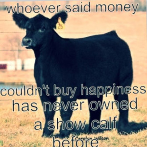 , Cattle Show, Show Steering Quotes, So True, Show Livestock Quotes ...
