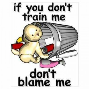 If you don't train me - don't blame me