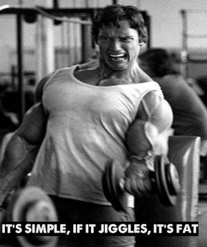 Here are 9 Arnold motivational quotes , with pictures from his body ...