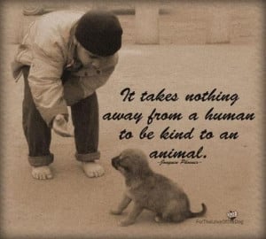 human to be kind to an animal.Animal Journals, Dogs Quotes, Animal ...