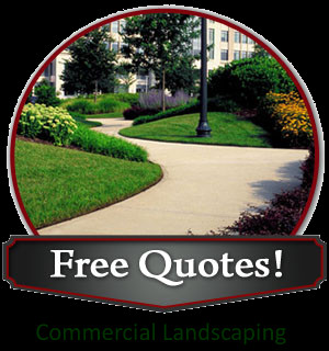 Commercial Landscaping Services in Tampa