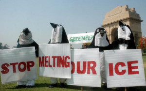 Greenpeace activists dressed as Penguins in New Delhi. File Photo ...
