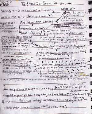 Rebel Quotes (the pen is quotes from the