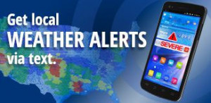 insurance coverage auto recreation auto insurance collectible auto ...